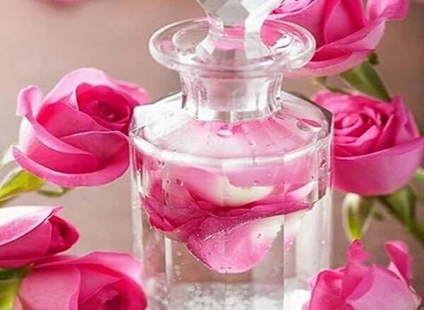 تصویر 1 از قیمت گلاب پس آب ارگانیک + خرید باور نکردنی